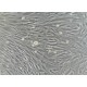 Human Dermal Fibroblasts-adult (HDF-a)